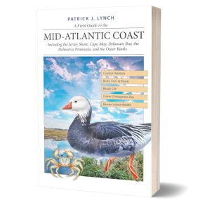 A Field Guide to the Mid-Atlantic Coast: Including the Jersey Shore, Cape May, Delaware Bay, the Delmarva Peninsula, and the Outer Banks