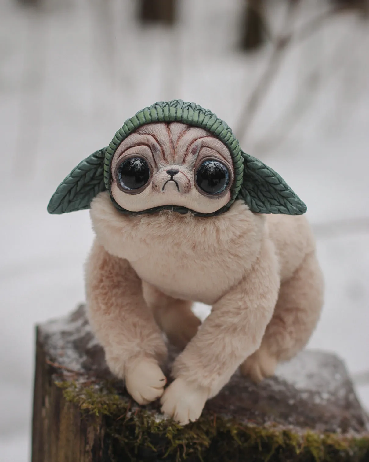 Beanie pug