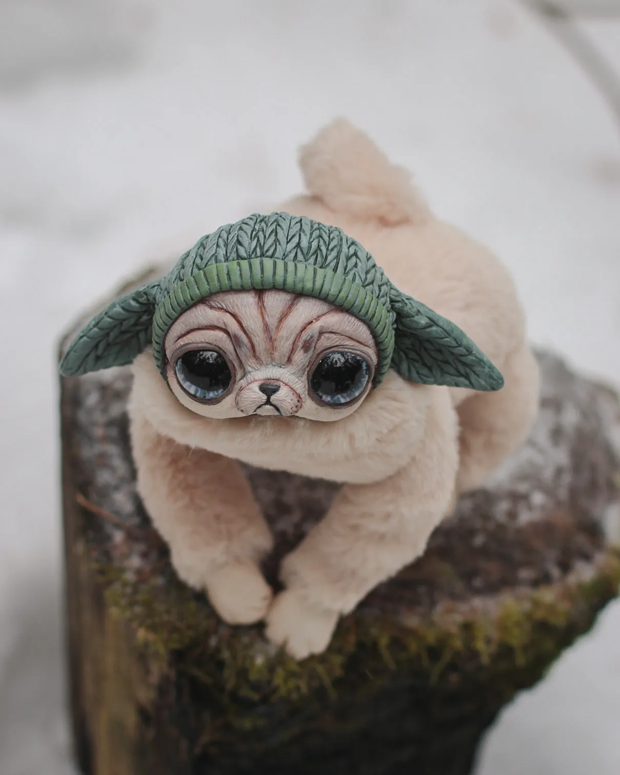 Beanie pug