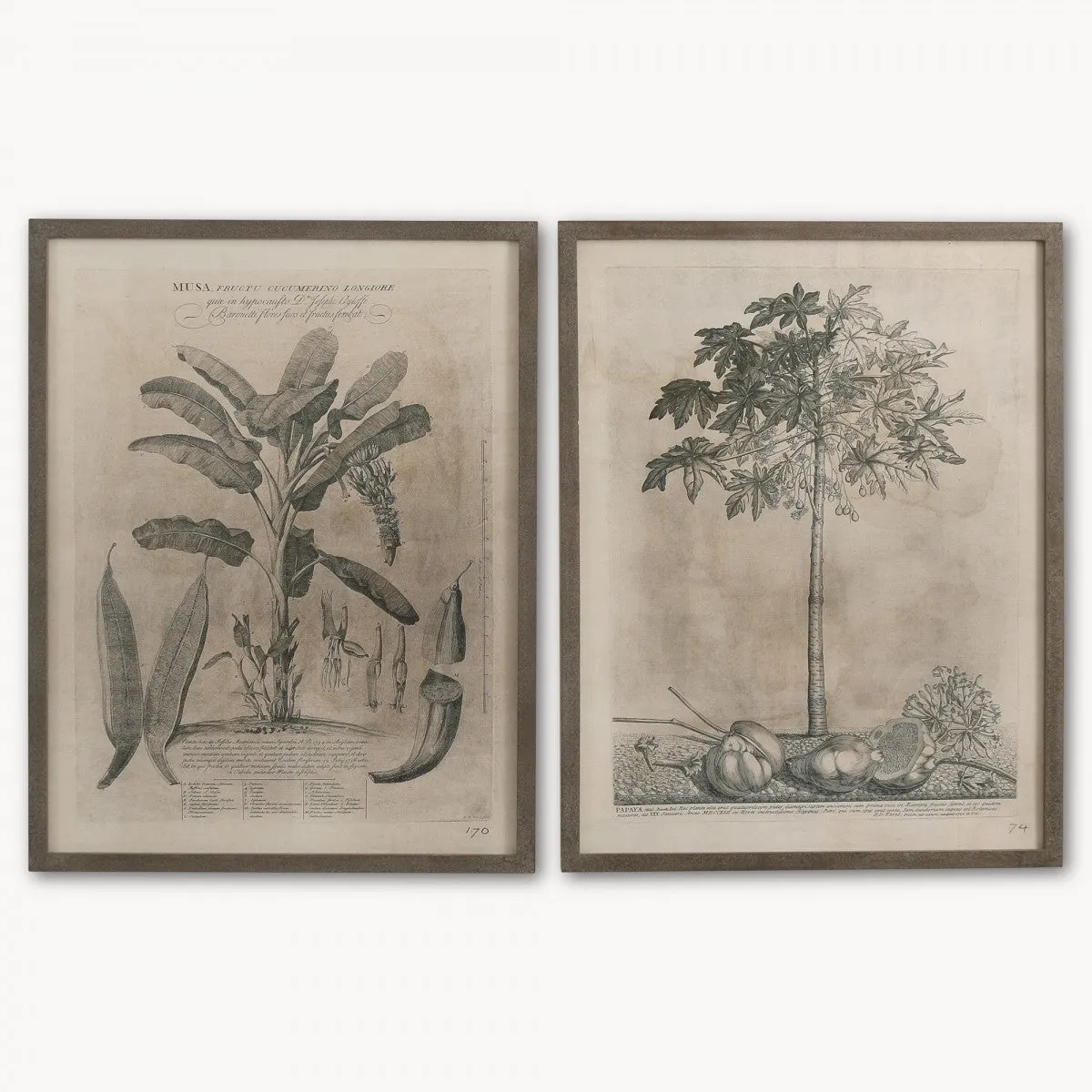 Brockby Set of Two Framed Papaya Wall Art 105cm