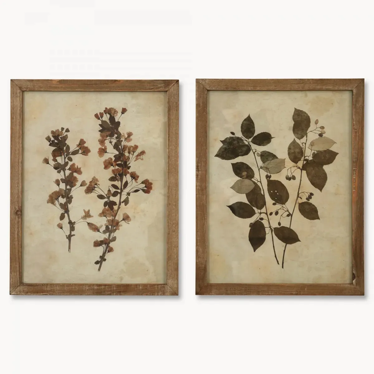 Brockby Set Of Two Leaf Prints in Wooden Frame 53.8cm