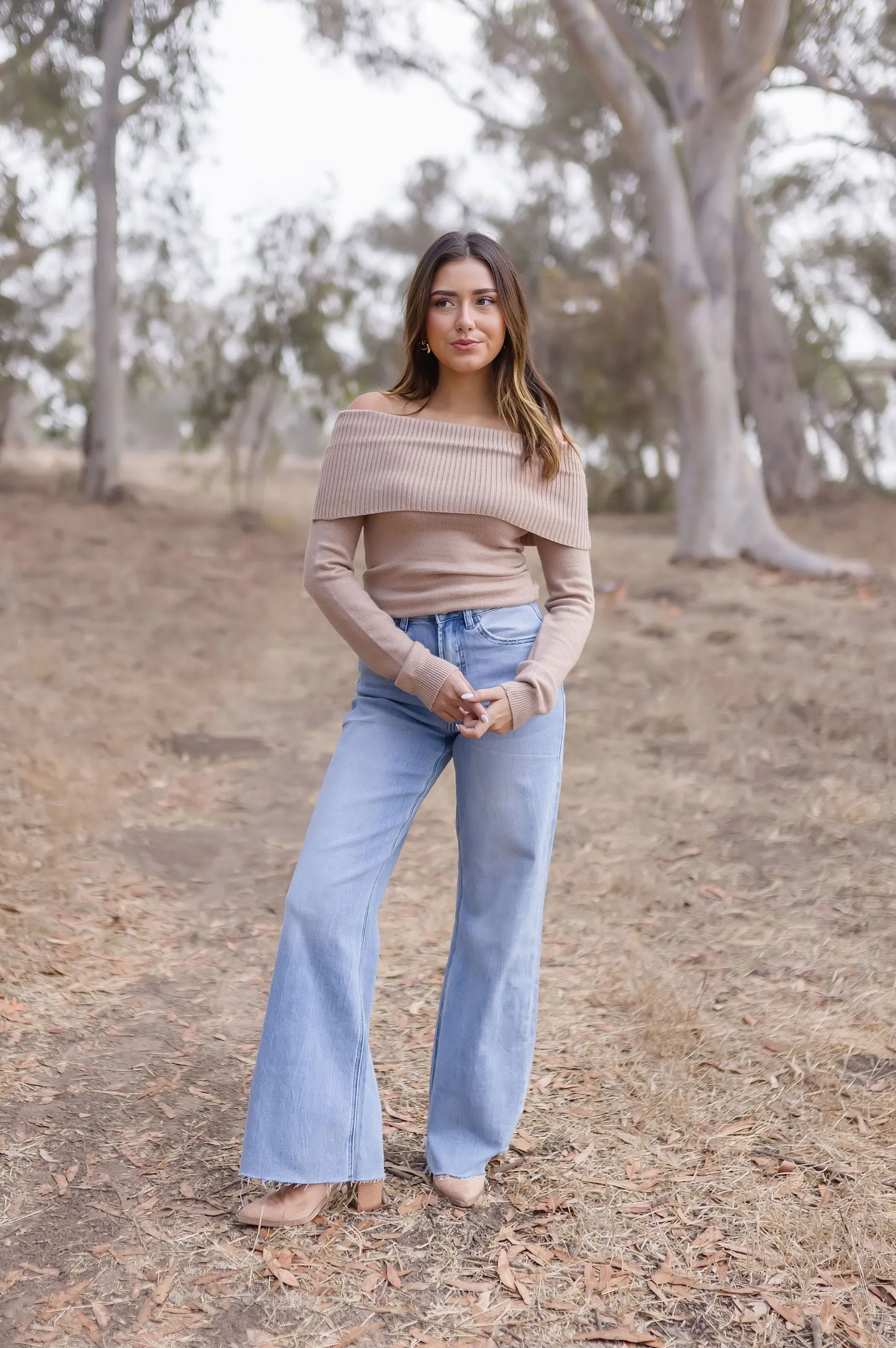 Brynn Long Sleeve Off The Shoulder Sweater Top Taupe