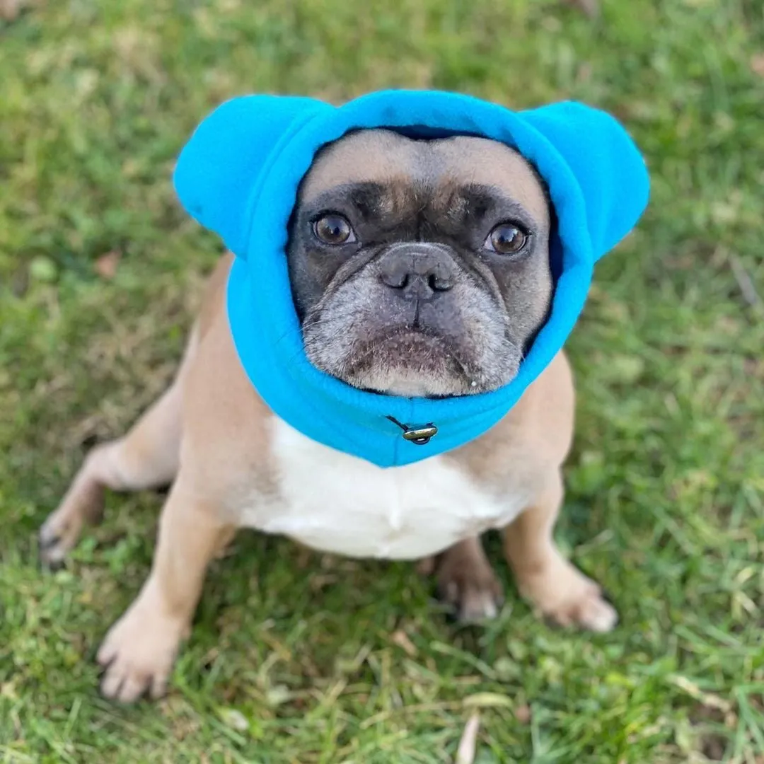 Frenchiestore Organic Dog Frenchie Ear Warmers | Blue