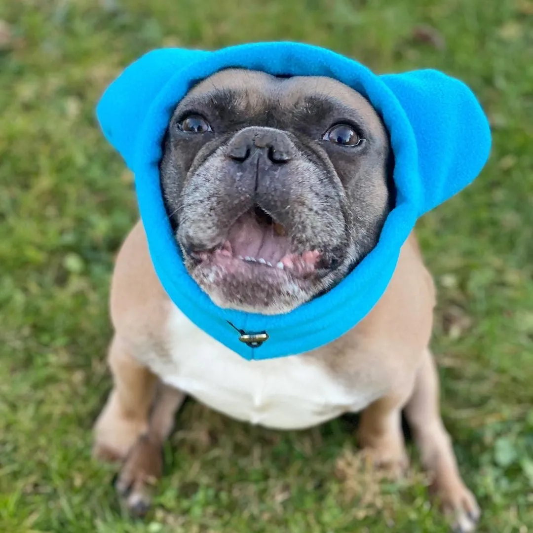 Frenchiestore Organic Dog Frenchie Ear Warmers | Blue