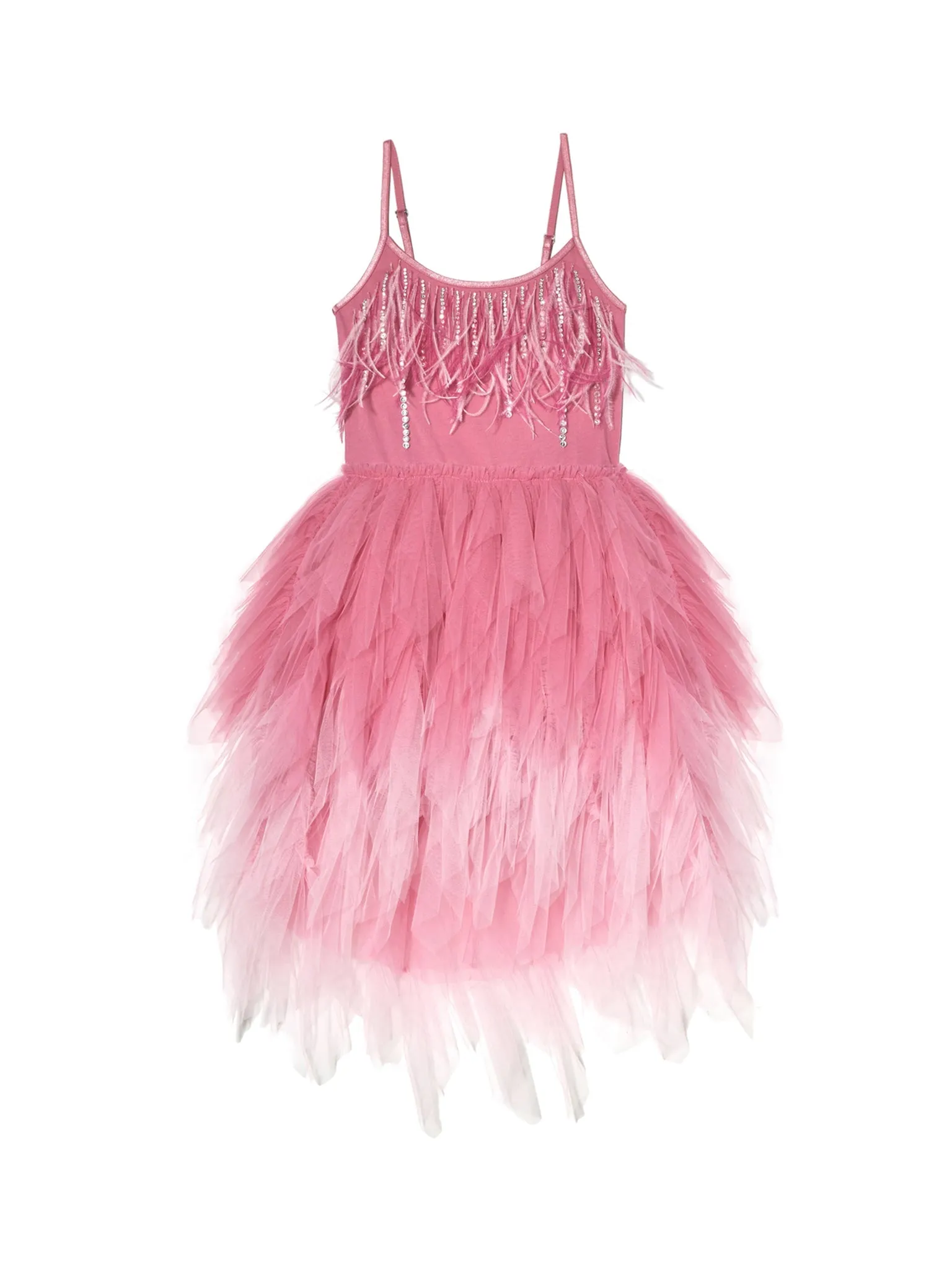 Iridessa tutu dress