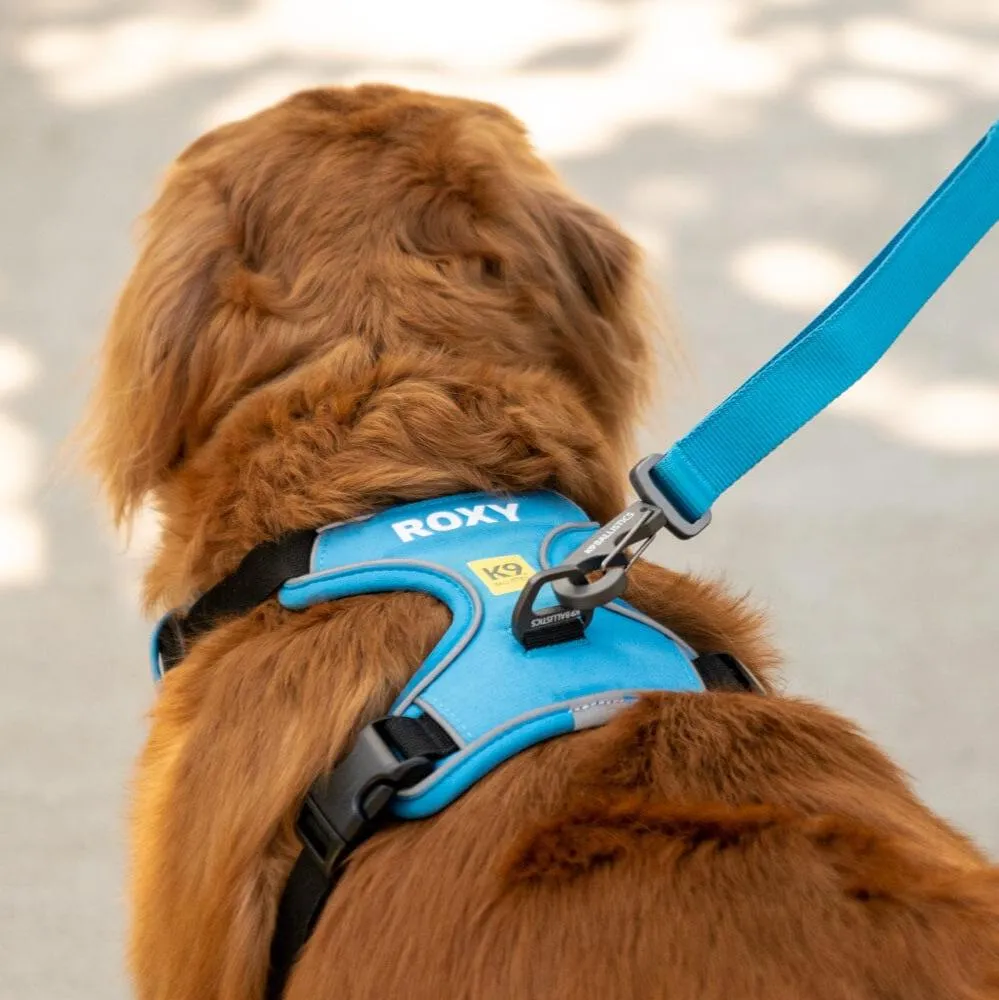 K9 Everyday™ Dog Harness - Seasonal Colors