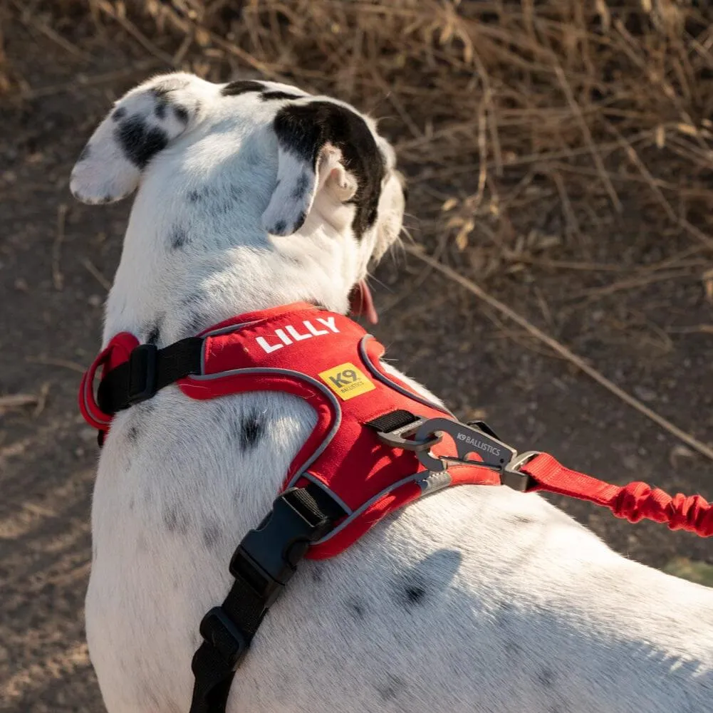 K9 Everyday™ Dog Harness - Seasonal Colors