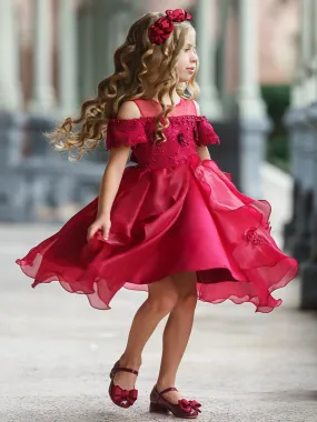 Little Princess Layered Tulle Holiday Dress