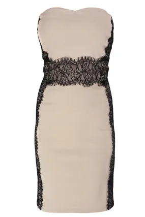 LUCY PARIS MISA Beige Strapless Lace Mini Dress