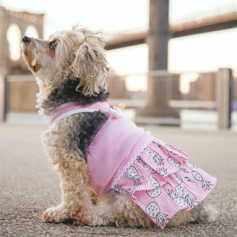 Pineapple Dog Dress