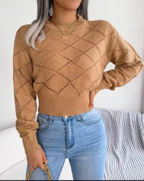 Solid Color Hollow Out Close Crop Knit Sweater 2035