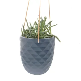 Thimble Hanging Pot